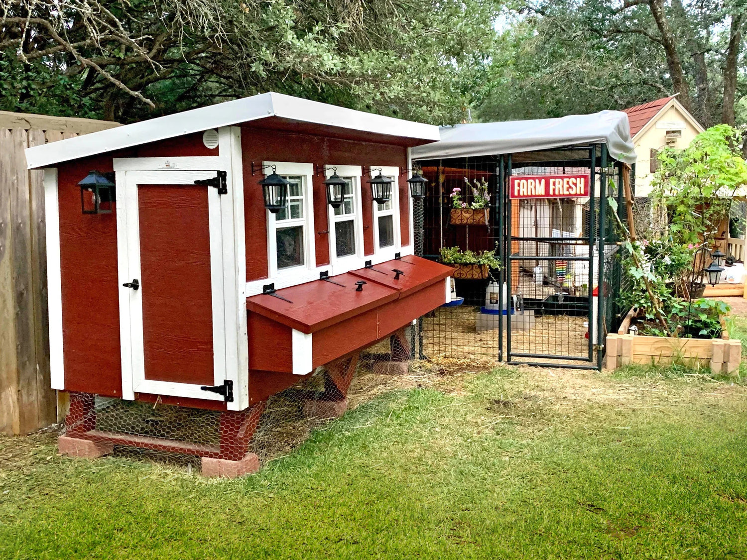 Chicken Coops