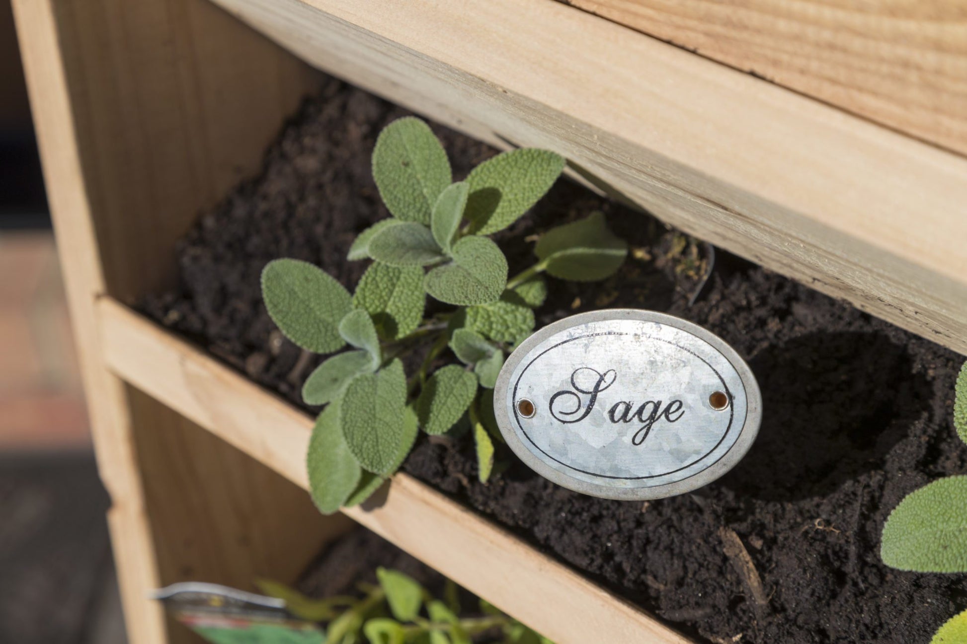 Vertical Garden Planter