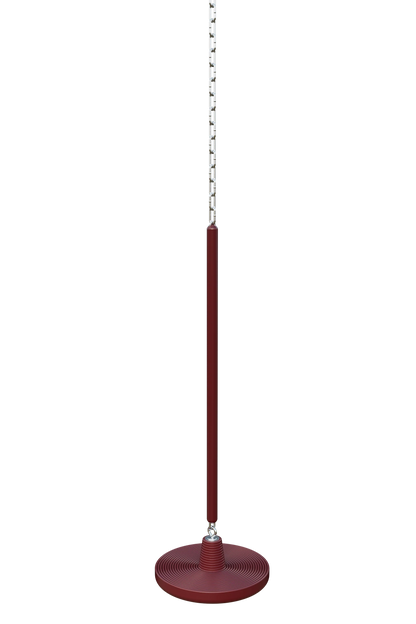 Cyclone Disc Swing