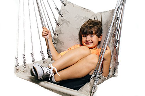 Hammock Swing