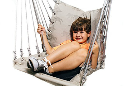 Hammock Swing