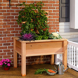 Garden Beds & Planters