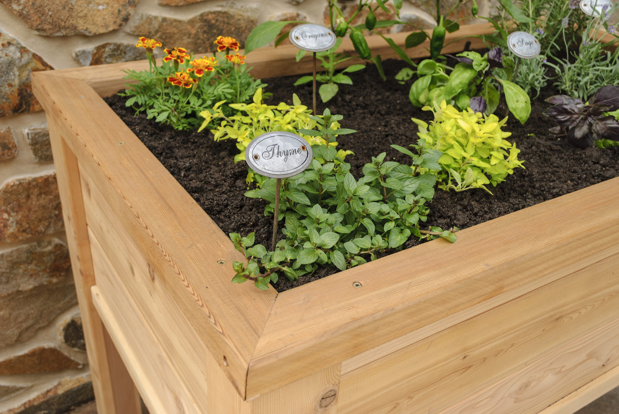 Elevated Garden Planters 