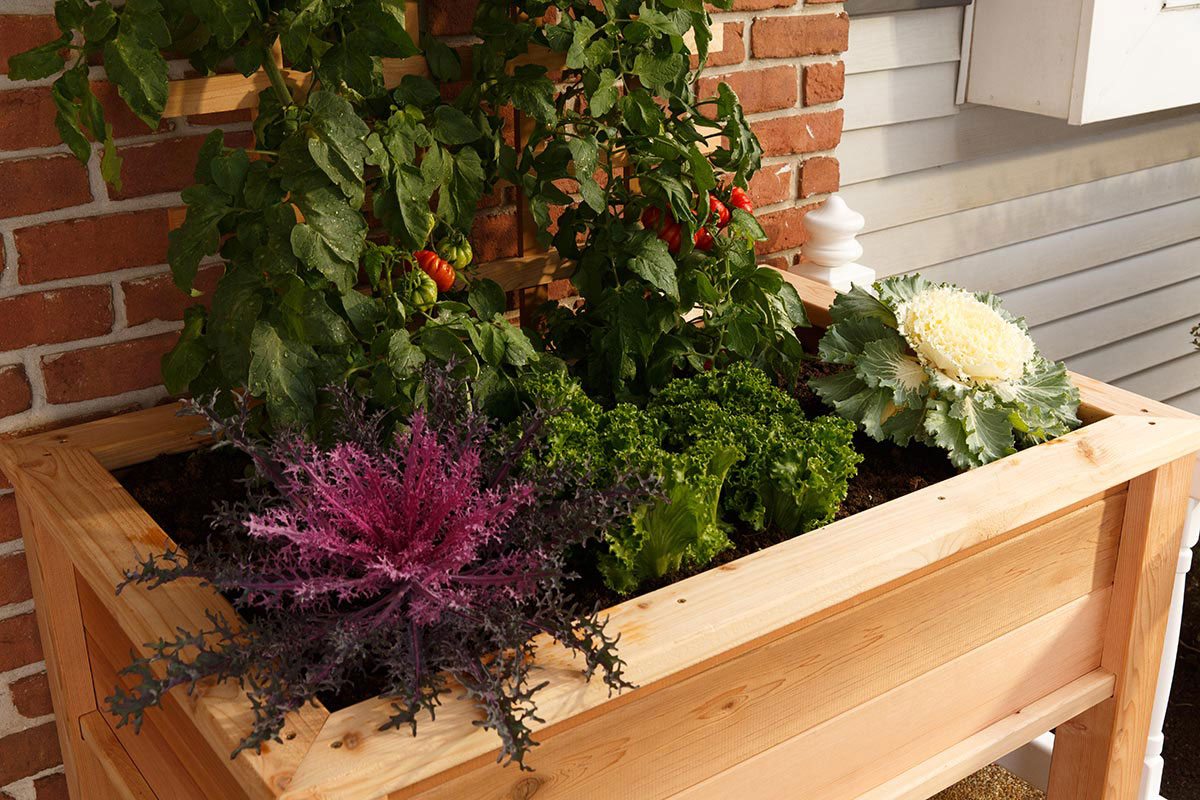 Elevated Garden Planter Boxes - YardCraft