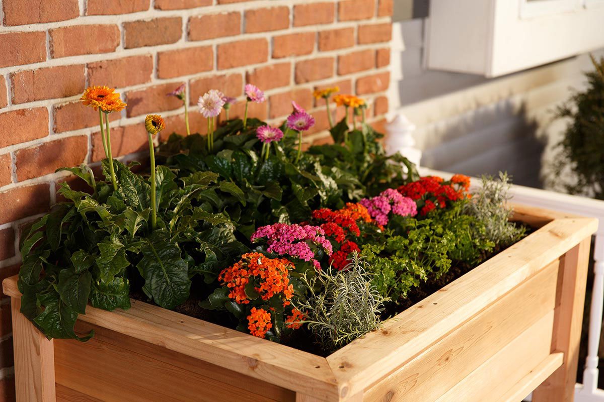 Elevated Garden Planter Boxes - YardCraft