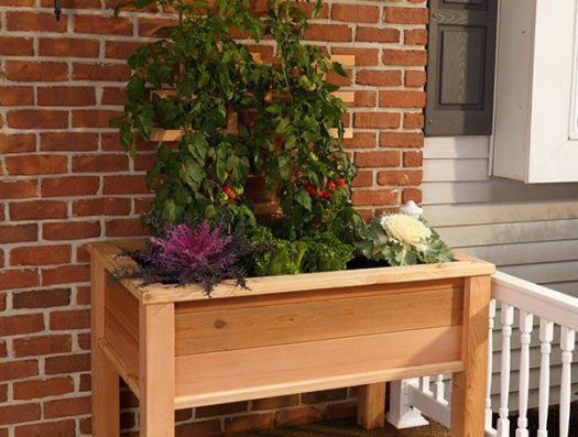 Elevated Garden Planter with two rows of large leafy vegetables on a porch of a brick home.