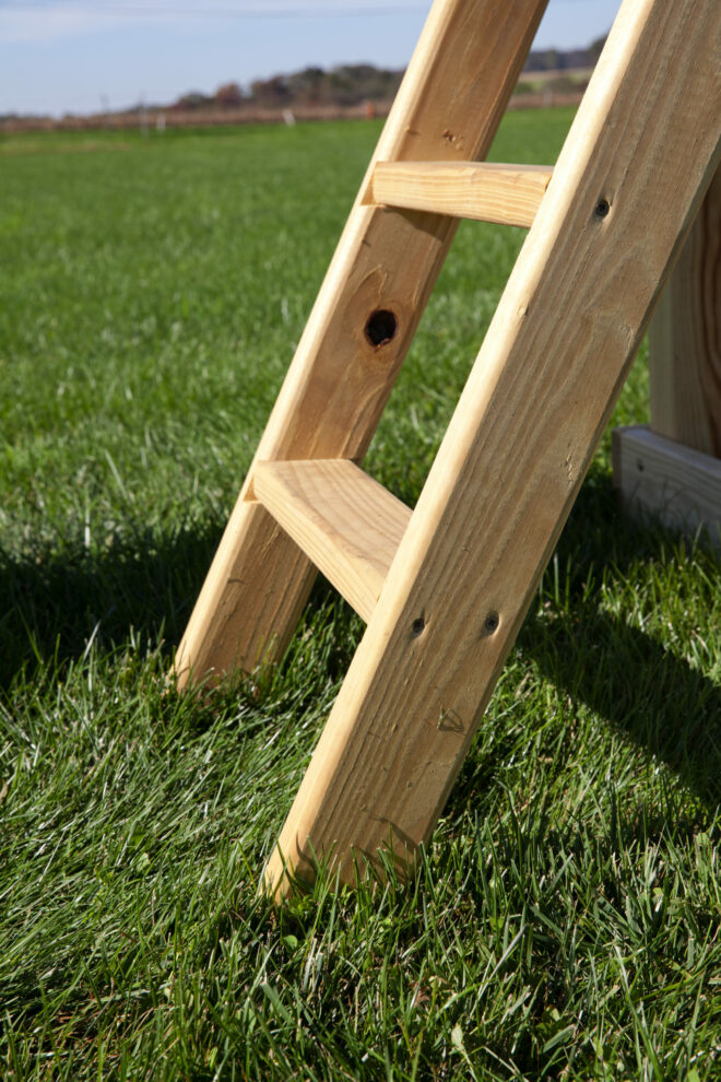 Playset ladder.