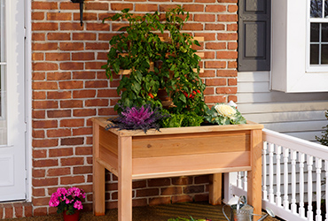 Garden Beds & Planters